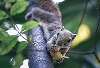 个性化定制的网站攻击源码