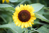 ddos攻击测试工具