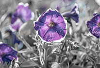 一键资源释放的在线DDOS压力测试网页端