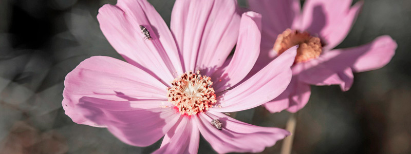 在线DDOS压力测试网页端