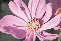 ddos攻击测试工具