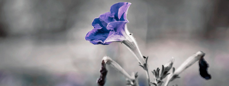 让经营更稳健的网站攻击源码